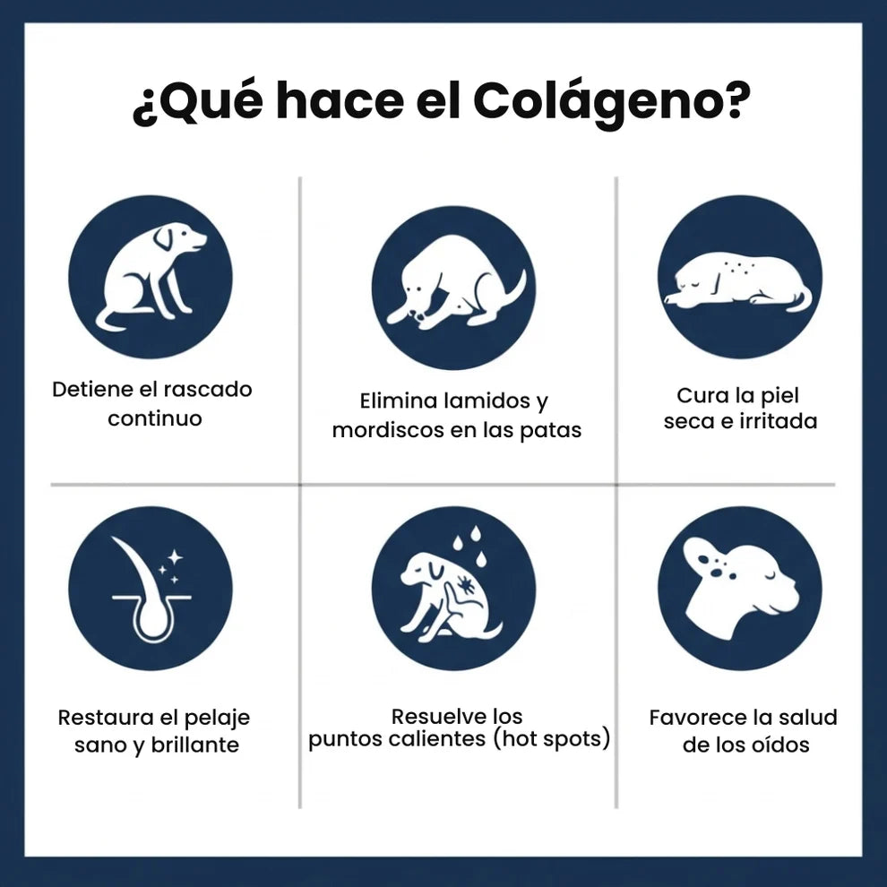 Colageno mascotas