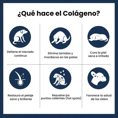 Colageno mascotas