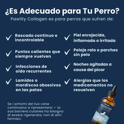 Colageno mascotas
