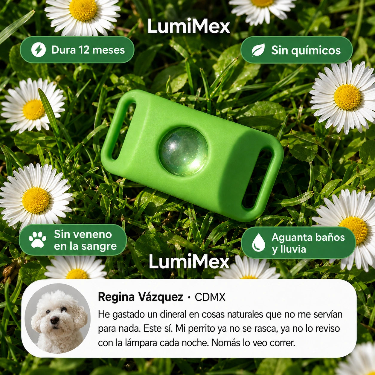 LumiMex Colgante Natural | Protección y Calma Canina 6 en 1