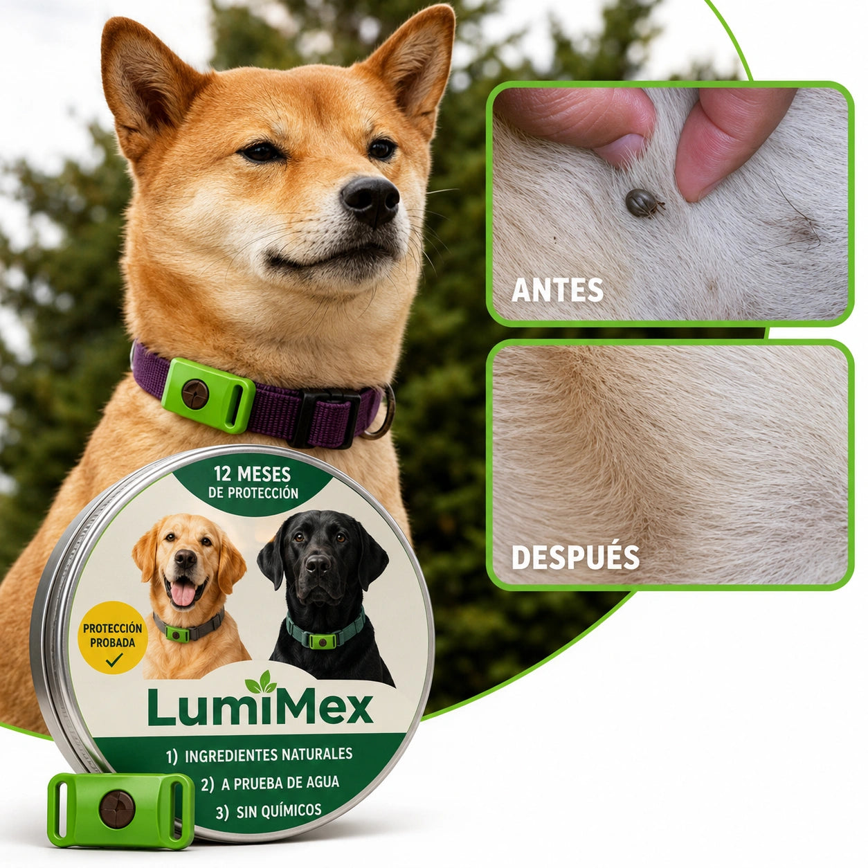 LumiMex Colgante Natural | Protección y Calma Canina 6 en 1