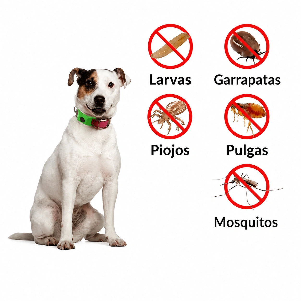 LumiMex Colgante Natural | Protección y Calma Canina 6 en 1