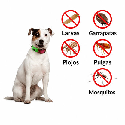 LumiMex Colgante Natural | Protección y Calma Canina 6 en 1